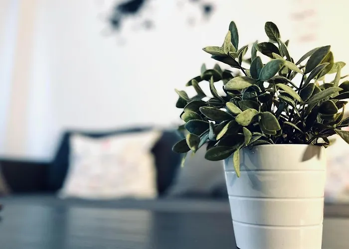 Apartamento Pintor Palomino Córdova