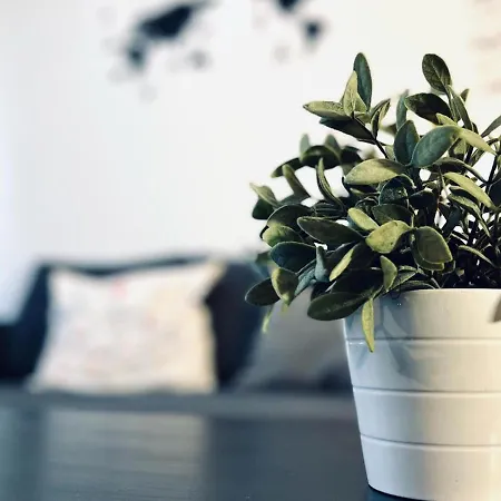 Apartamento Pintor Palomino Córdoba