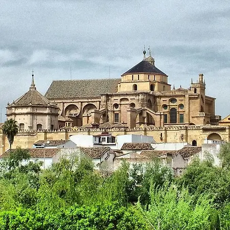 Pintor Palomino * Córdoba